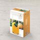 Кана wilmax crystalline 500ml термо стъкло