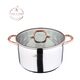 Тенджера с капак infinity chefs copper 28х16.5см 9.5л